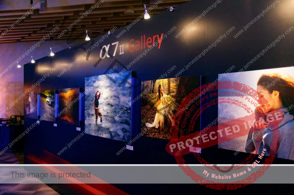 Sony A7 II Gallery