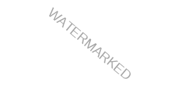 James Tan Photography